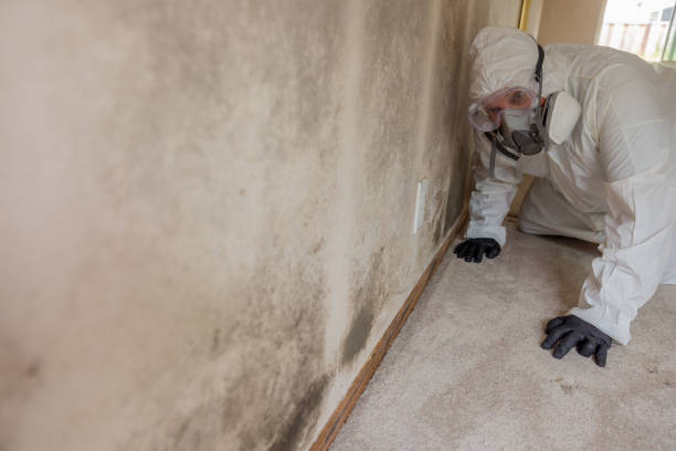 Vinita, OK Mold Removal Company